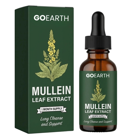 Mullein Leaf Extract